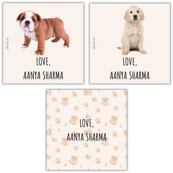 Paw Love Note Cards